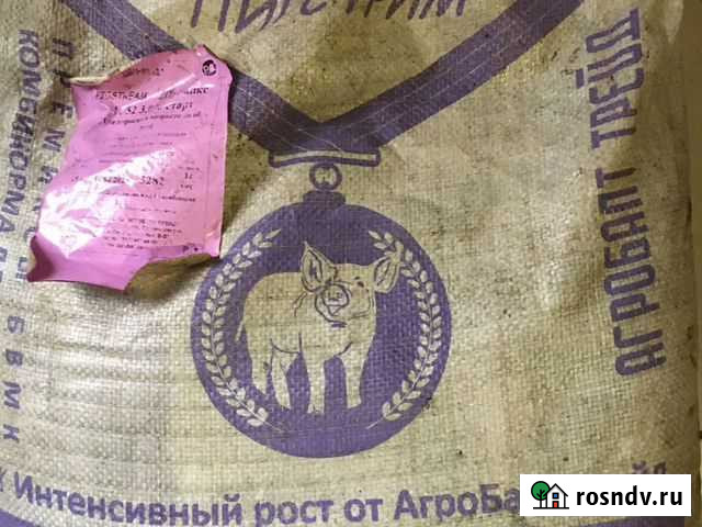 Корм для поросят Славгород - изображение 1