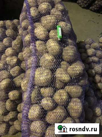 Картофель дёщево Сухиничи - изображение 1