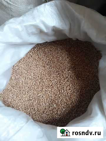 Зерно Черепаново - изображение 1