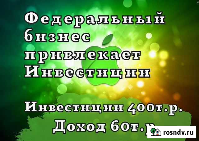 Ищу инвестора в успешный бизнес Барнаул - изображение 1