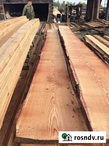 Лиственница Асбест - изображение 1