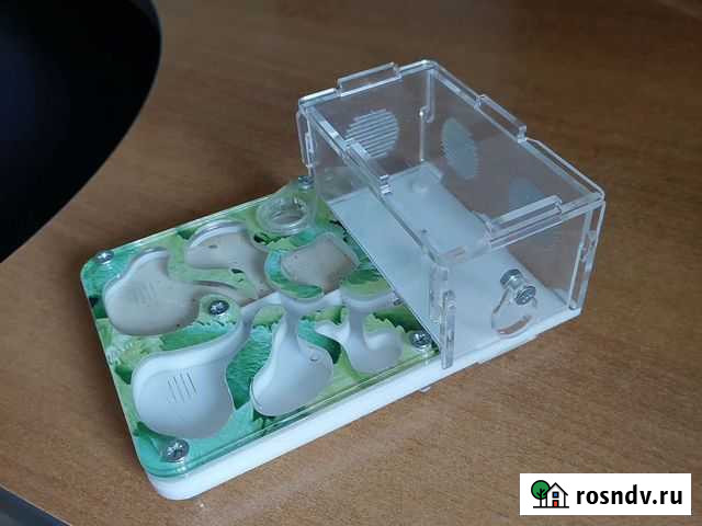 Муравьиная ферма формикарий Волжский - изображение 1