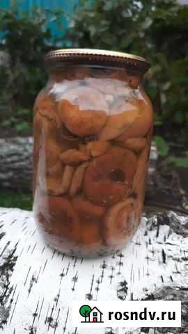 Грибы Тольятти - изображение 1