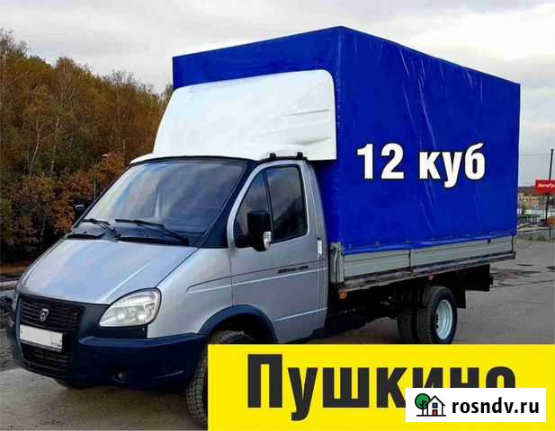 Вывоз мусора Пушкино - изображение 1