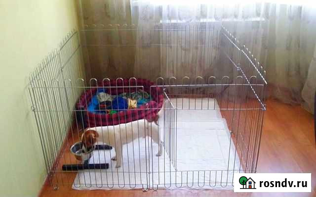 Вольер Ульяновск - изображение 1