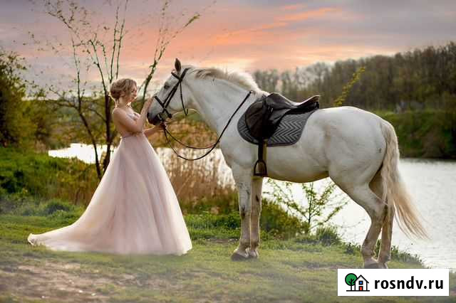 Фотограф Ростов-на-Дону - изображение 1