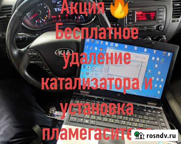 Бесплатное удаление катализатора в Казани Казань - изображение 1