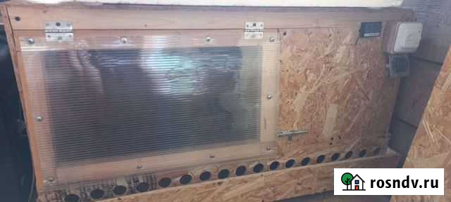 Брудер для цыплят Кузнецк - изображение 1