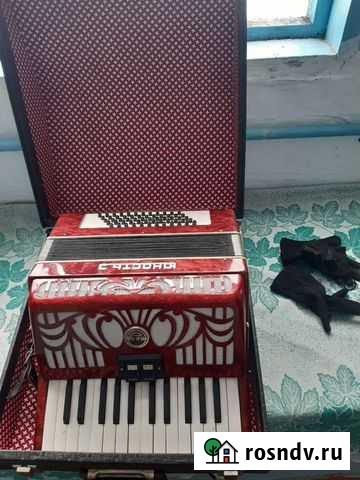 Аккордеон Майский - изображение 1