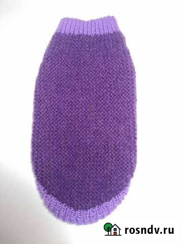 Одежда для маленькой собачки Мытищи - изображение 1