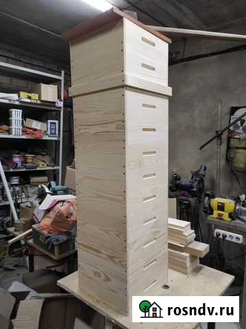 Альпийский улей Челябинск - изображение 1