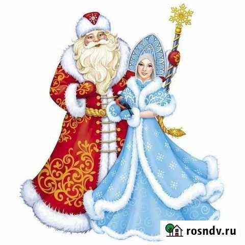 Дед Мороз и Снегурочка Липецк