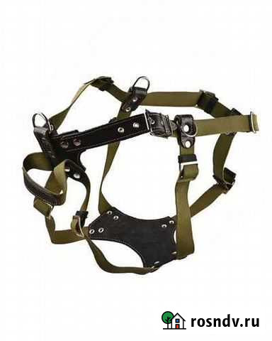 Шлейка для большой собаки Йошкар-Ола - изображение 1