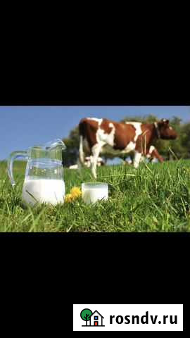 Молоко Усть-Кинельский - изображение 1