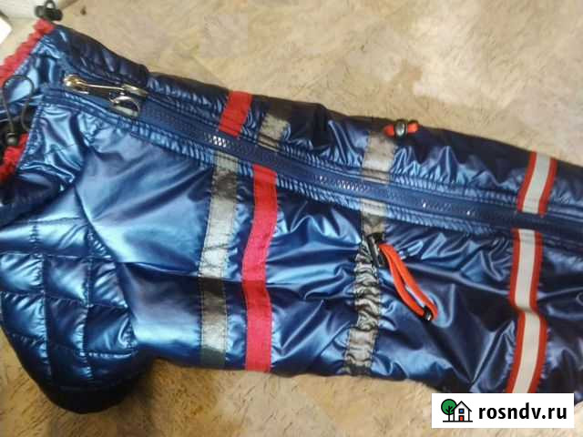 Зимняя для породы типа таксы Ржев - изображение 1