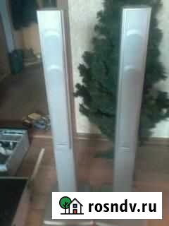 Акустические колонки Новокузнецк - изображение 1