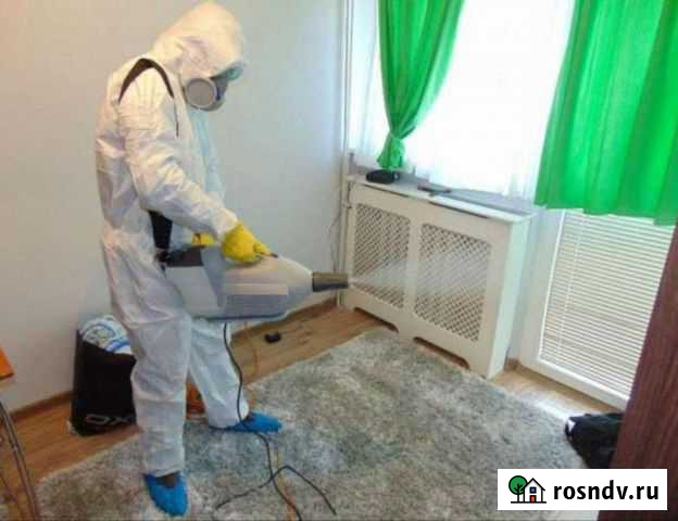 Уничтожение тараканов, клопов, грызунов в Миассе Миасс - изображение 1