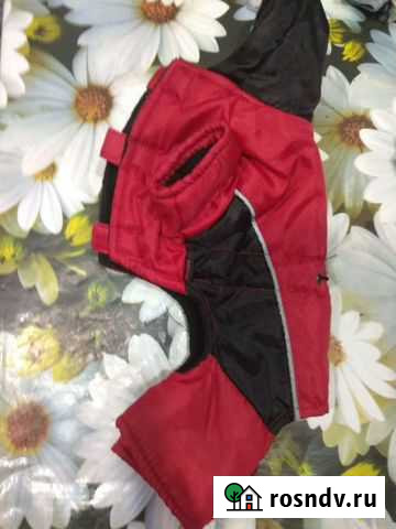 Одежда для собак Дзержинск - изображение 1