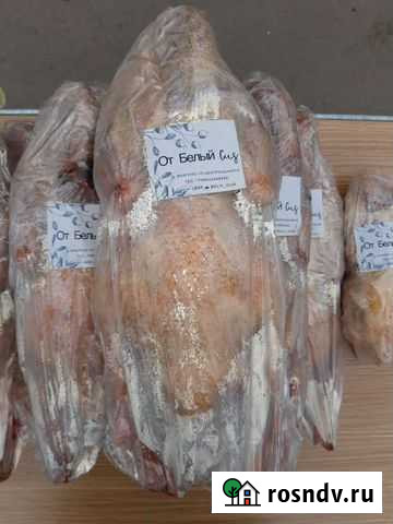 Гусятина Пермь - изображение 1