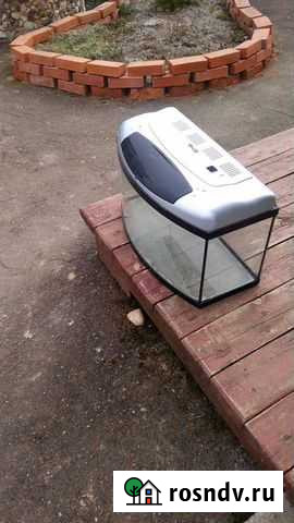 Аквариум Высоковск - изображение 1