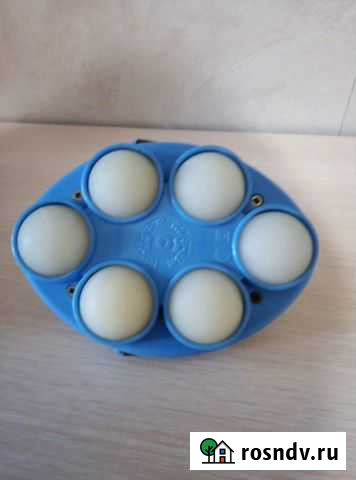 Электро массажёр шаровой Чебоксары - изображение 1