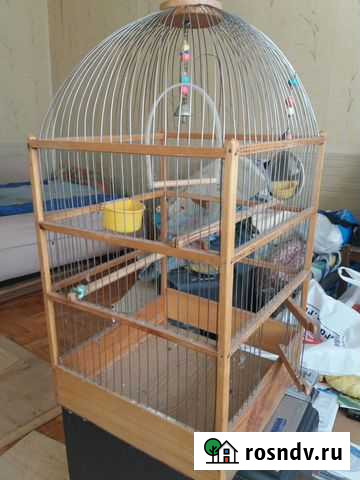 Клетка для попугая Тверь - изображение 1
