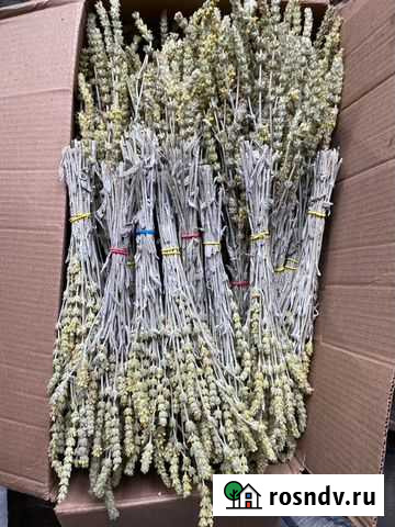 Пучки лимонника Симоненко - изображение 1