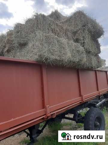 Сено в тюках Армавир - изображение 1