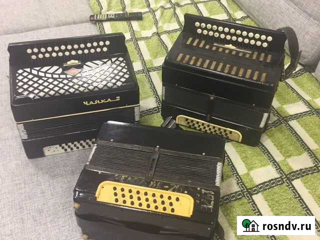 Гармонь мелодия Ульяновск - изображение 1