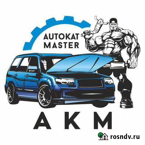 Удаление катализатора бесплатно, Чип-тюнинг, перев Новосибирск - изображение 1