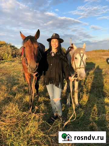 Конные прогулки Иркутск - изображение 1