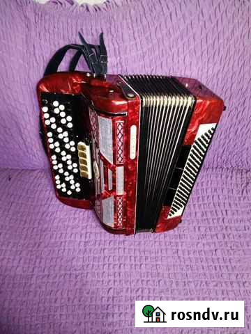 Баян Набережные Челны - изображение 1