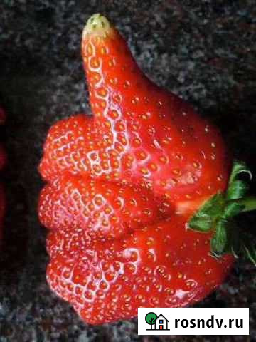 Няня Самара - изображение 1