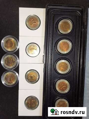 Монеты красная книга. Банкноты Петропавловск-Камчатский - изображение 1