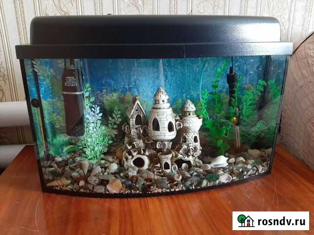 Аквариум Лунино - изображение 1