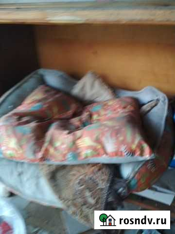 Лежак для кошки/собаки Абинск - изображение 1