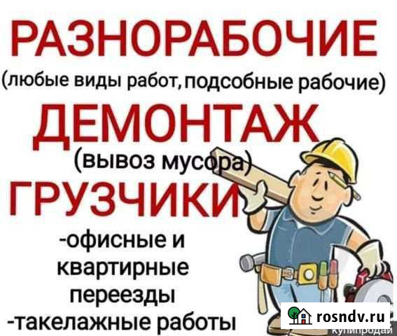 Грузчики, переезды, вынос мусора, разнорабочие Йошкар-Ола - изображение 1