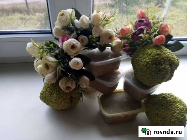 Мазь из маклюры Ильский - изображение 1