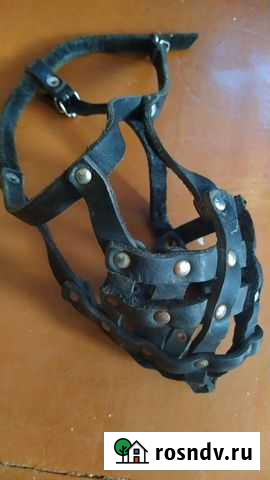 Намордник для собаки кожа Ижевск - изображение 1