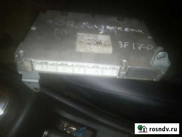 Мозги Торжок - изображение 1