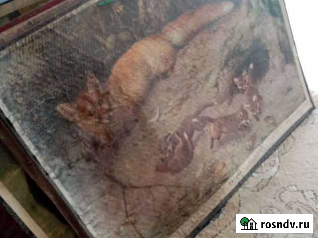 1971, 1979 год Энгельс - изображение 1