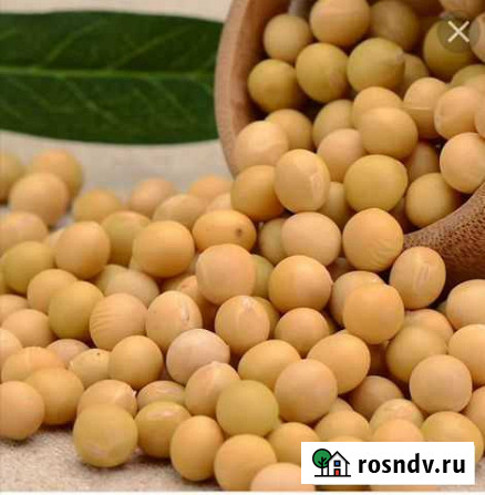 Соя продам Завитинск - изображение 1