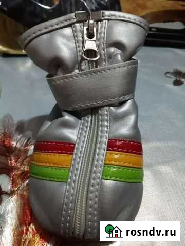 Обувь для собак Липецк - изображение 1