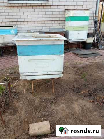 Улей для пчел Кострома - изображение 1