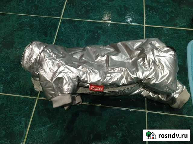 Комбенизон для небольшой Собачки Липецк - изображение 1