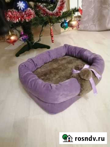 Лежанка Иваново - изображение 1