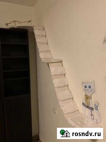 Игровой комплекс для кошек Королев - изображение 1