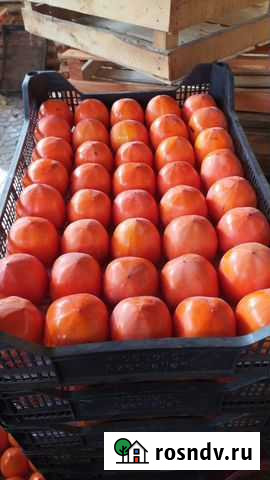 Хурма Симферополь - изображение 1