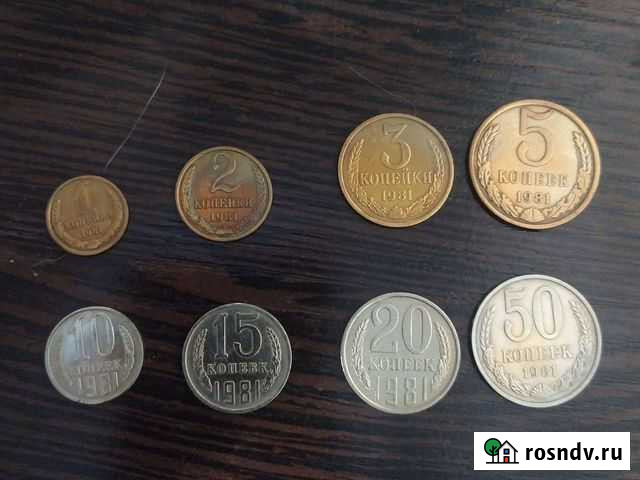 Погодовка СССР 1981 Пенза - изображение 1