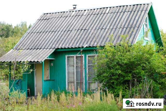 Дача 55 м² на участке 6 сот. на продажу в Красномайском Красномайский - изображение 1